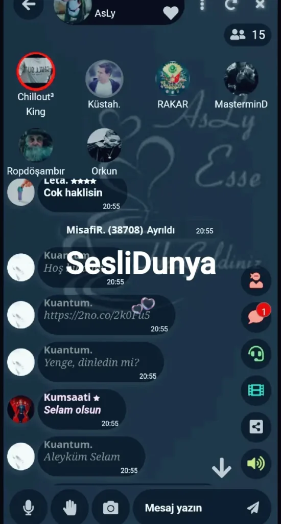 Seslidunya Sesli Sohbet Uygulaması